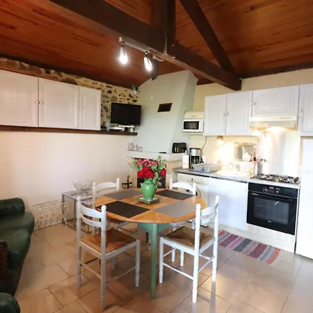 Charmante Maison De Caractere, Entre Cantal Et Lot, 4 Pers, Terrasse Couverte, Cheminee, Animaux Ok - Fr-1-742-382 Nyaraló
